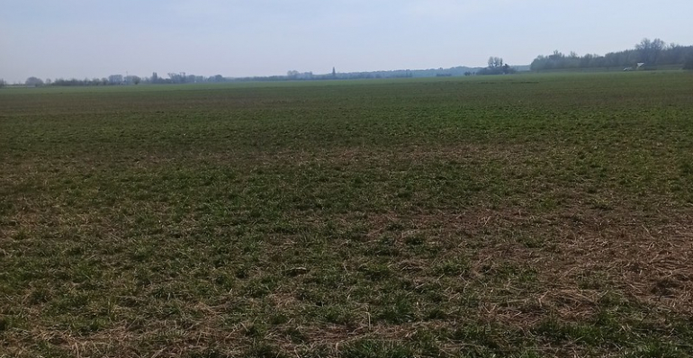 TRANSFORMATION OF MORE THAN 10HA OF ARABLE LAND TO PASTURES IN SLOVAKIA HAS BEGUN